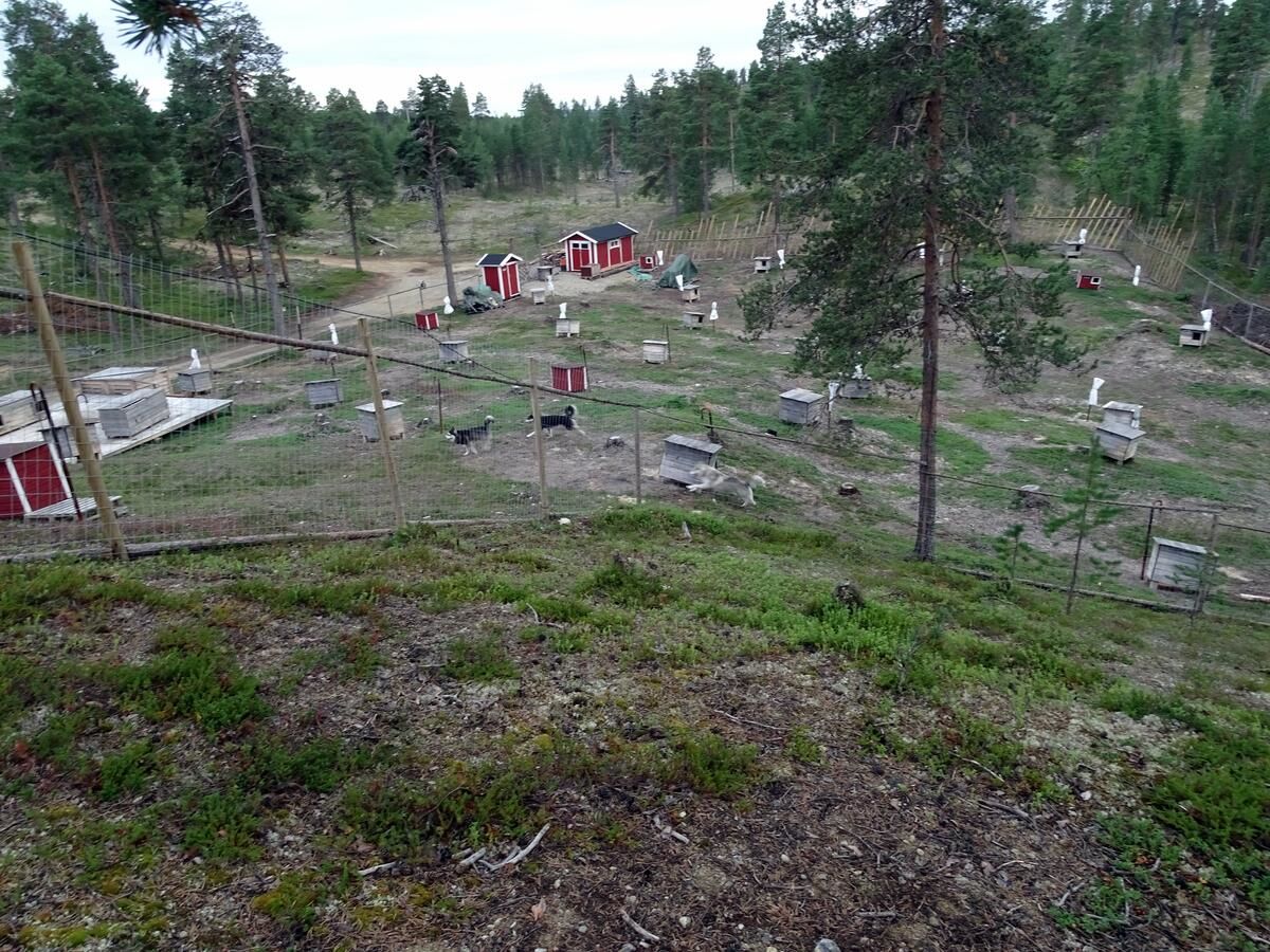 Дома для отпуска Cabin at Huskies Farm Инари-10